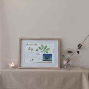 planche chestnut bud