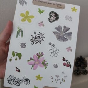 Stickers, Planche des fleurs 1 à 6